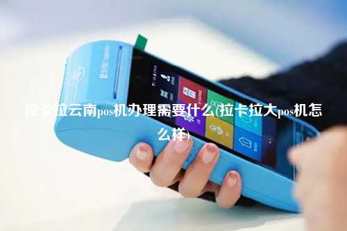 拉卡拉云南pos机办理需要什么(拉卡拉大pos机怎么样)